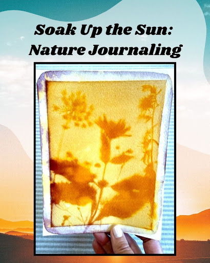 Soak Up the Sun: Nature Journaling